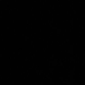 Meet your Posher, Cody